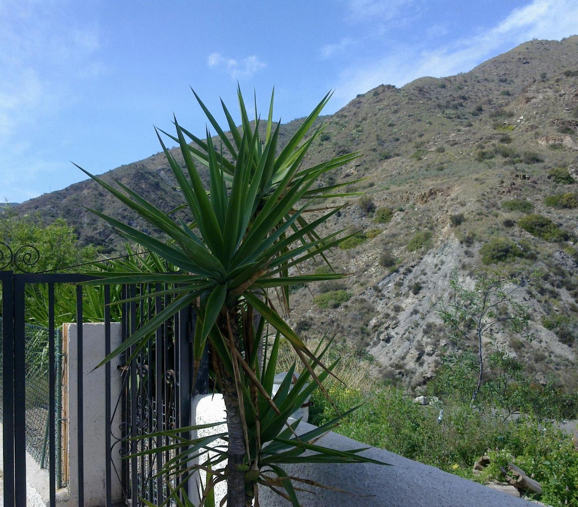 Guest house Restaurante Venta El Molino *